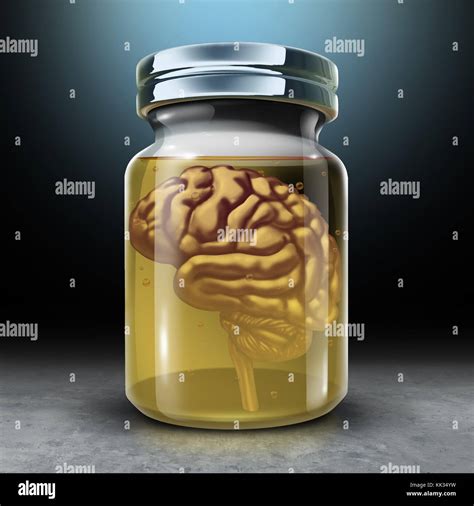 Preserving the brain 